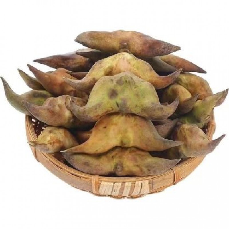 洪湖菱角（5-10月份）