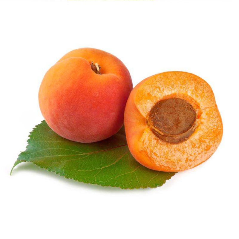 陕西大荔胭脂红杏：5-7月份